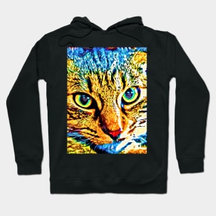 Cat Face Colors Hoodie